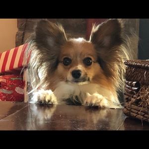 Meet your Posher, Michael